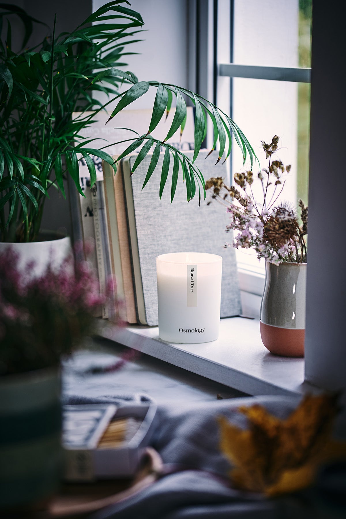 Bonsai Tree Scented Candle - Birch Sap Orange and Yuzu