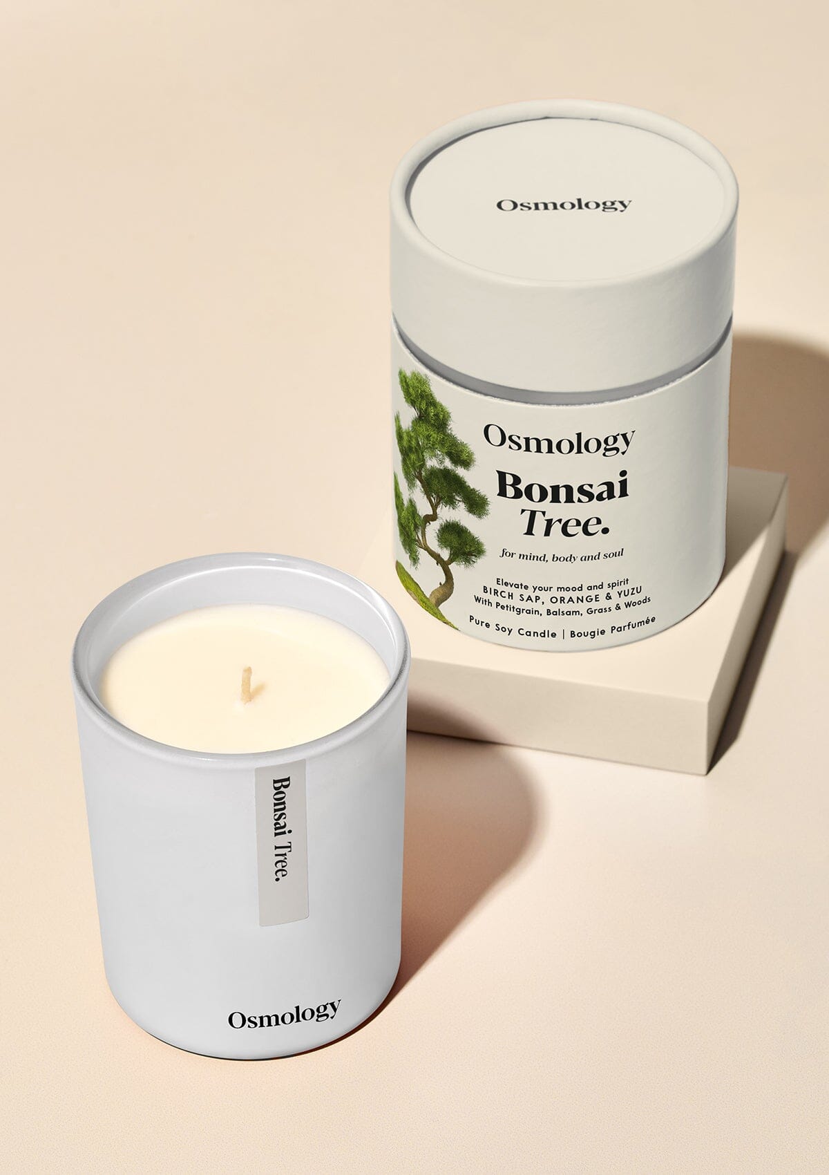 Bonsai Tree Scented Candle - Birch Sap Orange and Yuzu