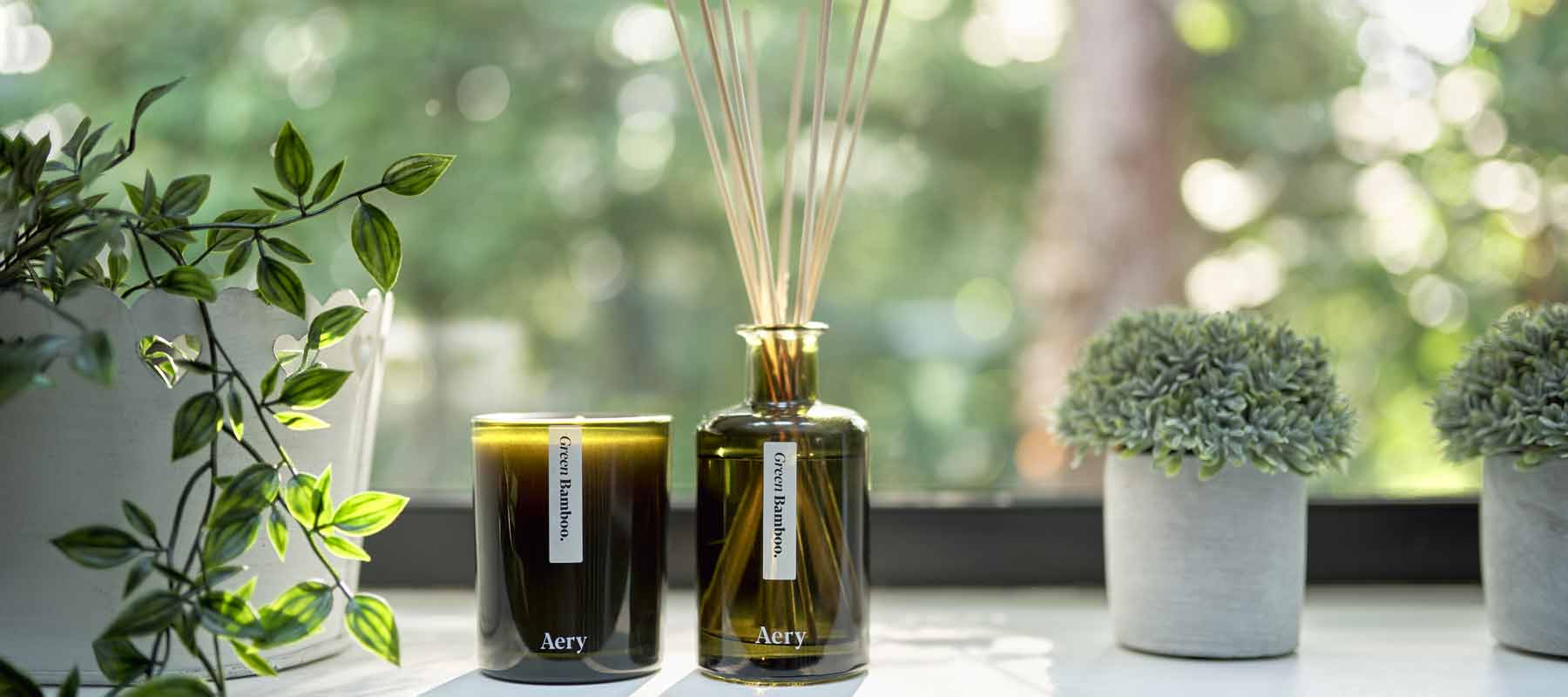 a window display with decorative house plants and aery living green candle and diffuser