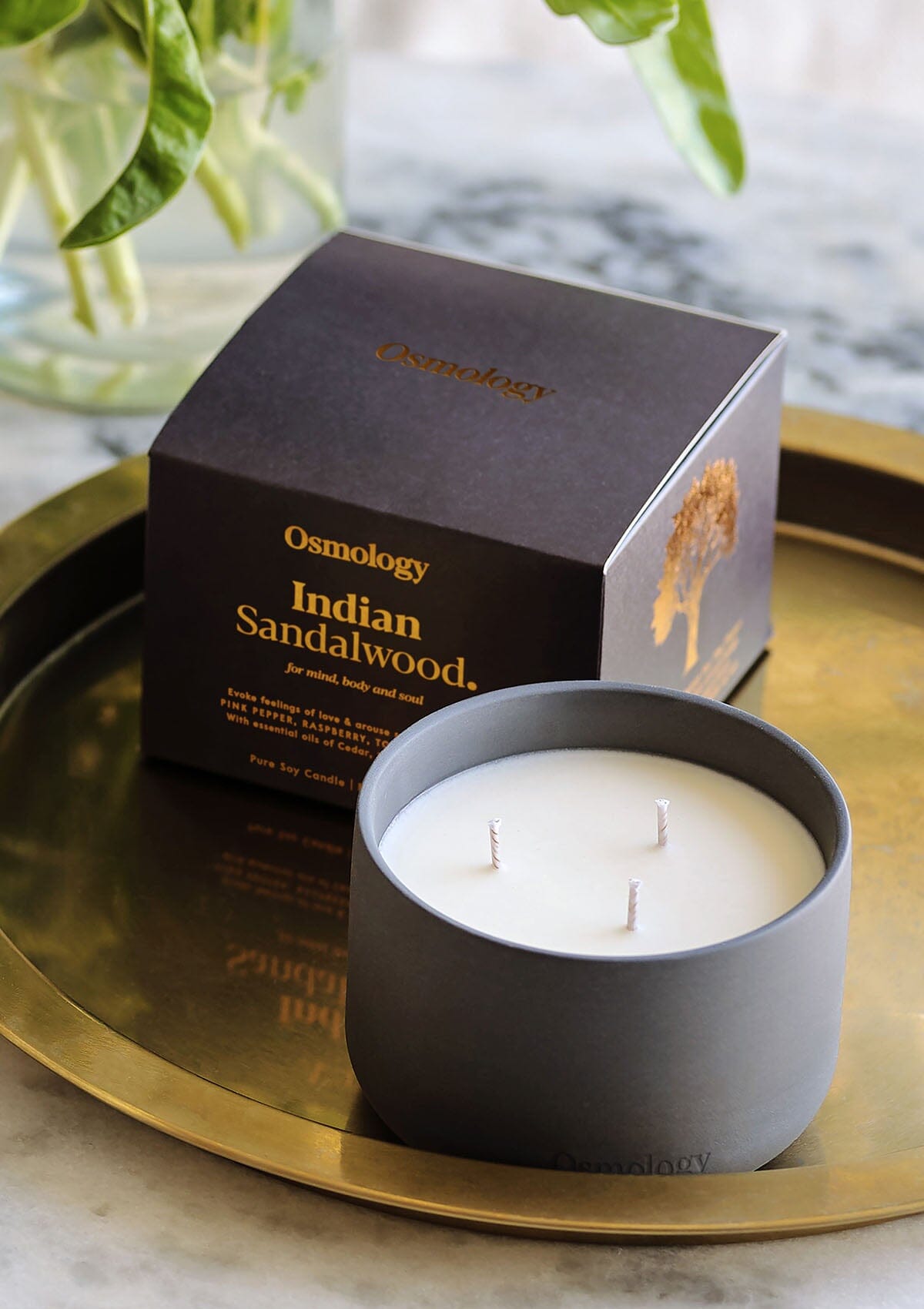 Indian Sandalwood Scented Triple Wick Candle