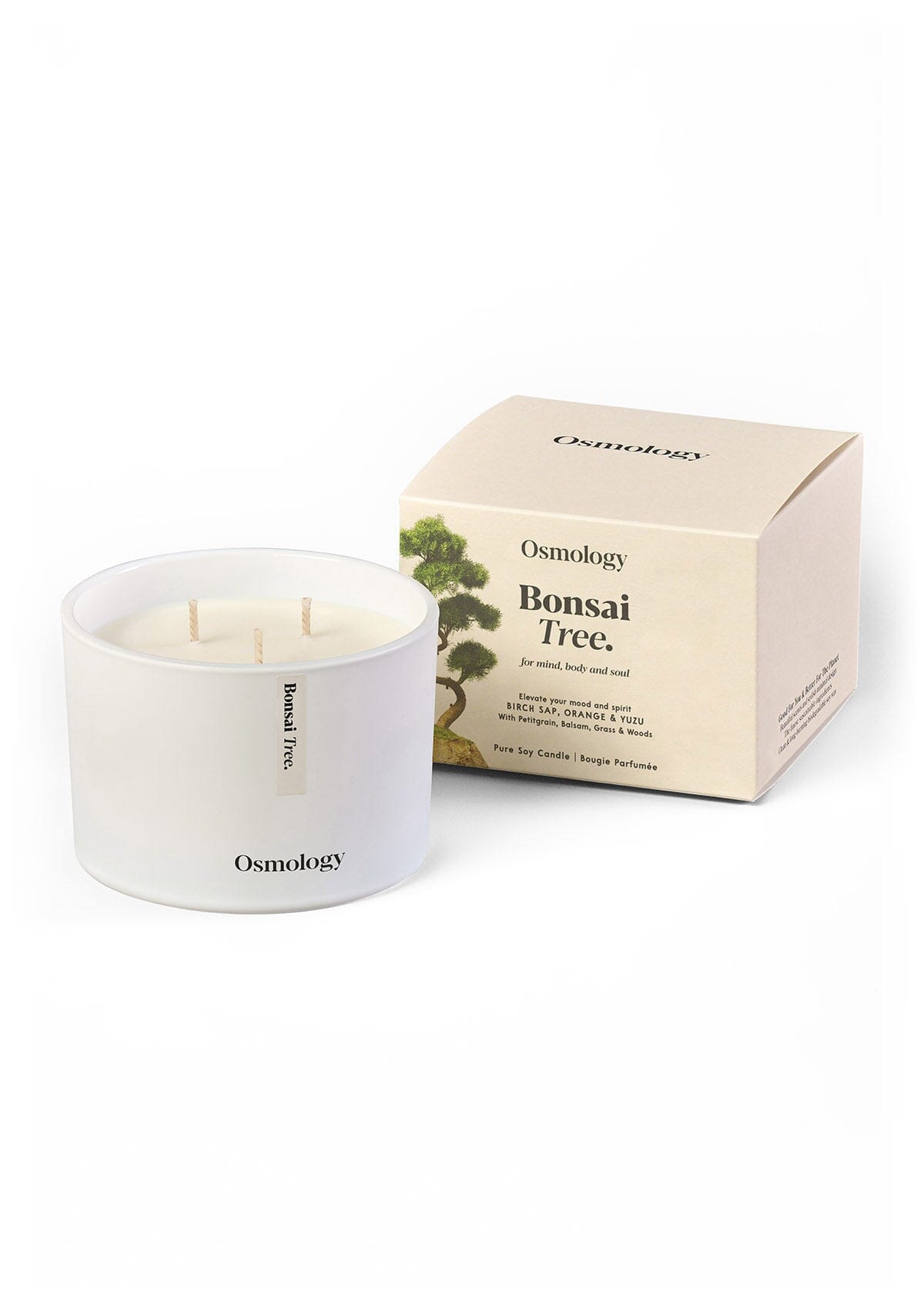 Bonsai Tree Scented Triple Wick Candle