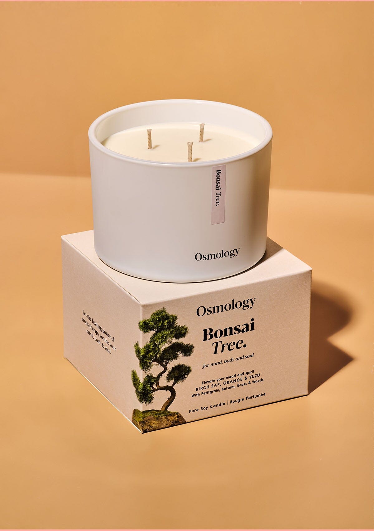 Bonsai Tree Scented Triple Wick Candle