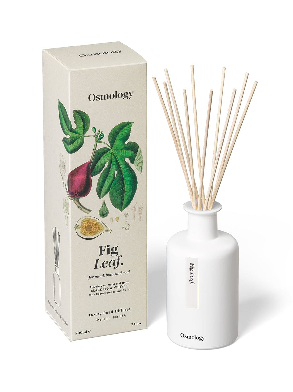 Osmology Fig leaf reed diffuser and botanical illustrated packaging on a white background