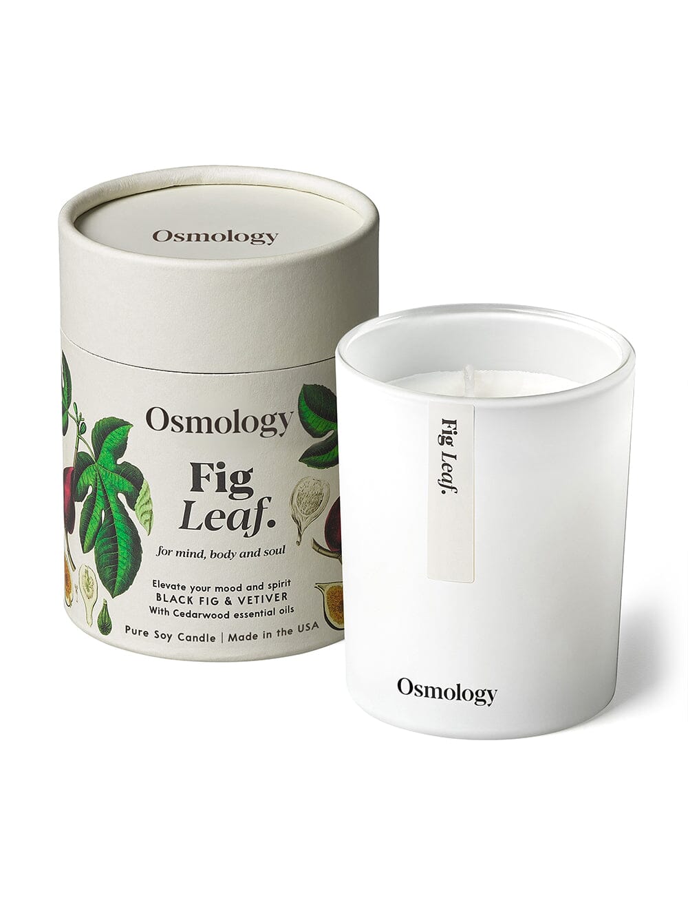 Osmology Fig Leaf candle with decorative product packaging tube on white background 